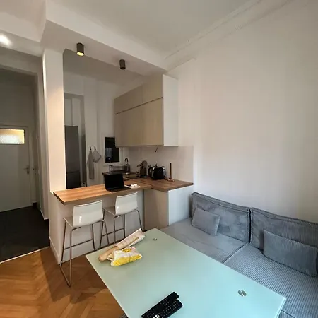 Chic Flat In Daire Nice